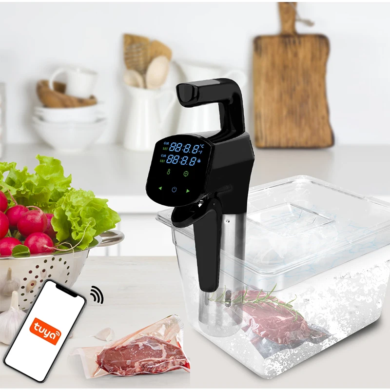 110V/220V Commercial Sous Vide - đánh giá và giá Home Cooking Steak
