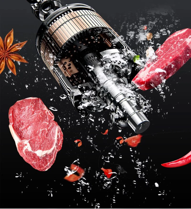 110V/220V Commercial Sous Vide - đánh giá và giá Home Cooking Steak