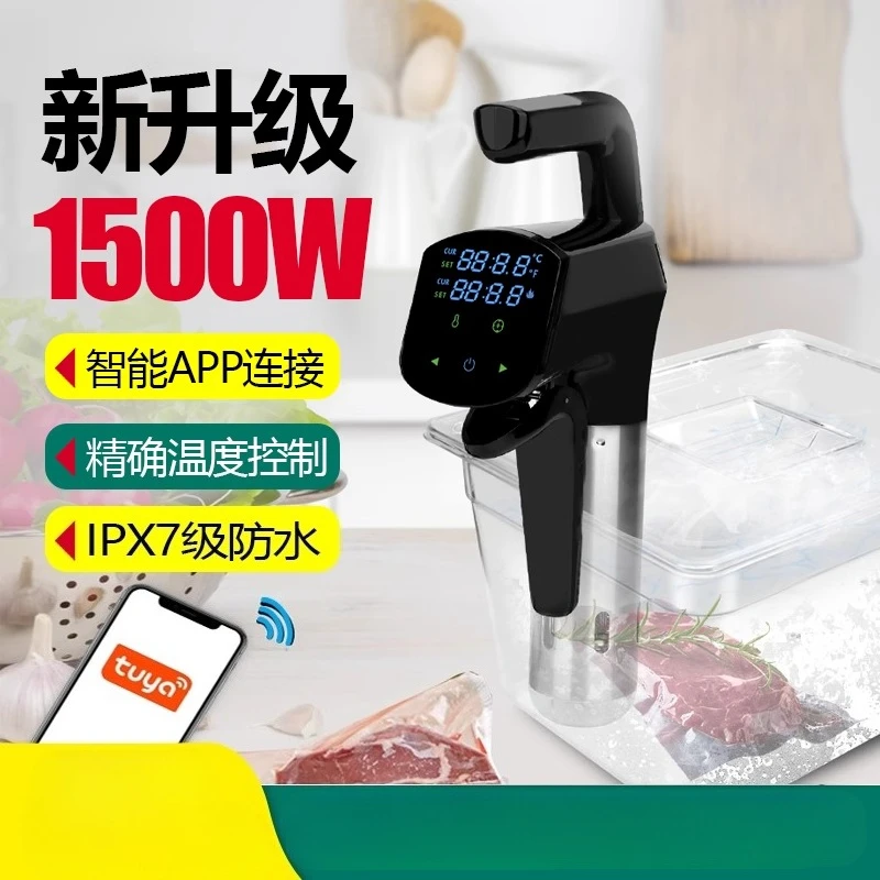 110V/220V Commercial Sous Vide - đánh giá và giá Home Cooking Steak